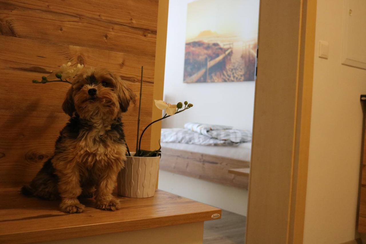 Zirben Diamant Rooms & Dogs Obdach Extérieur photo